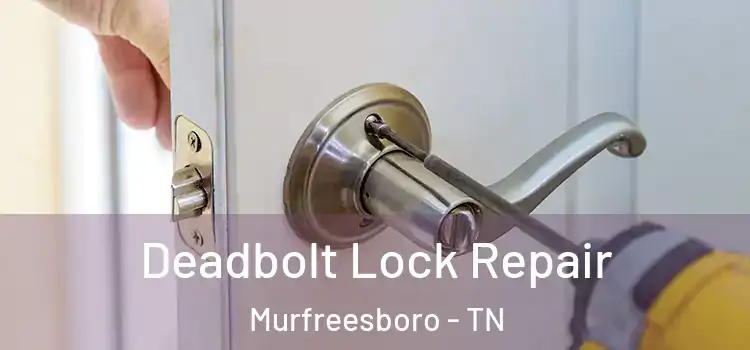  Deadbolt Lock Repair Murfreesboro - TN