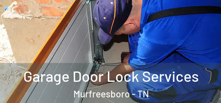  Garage Door Lock Services Murfreesboro - TN