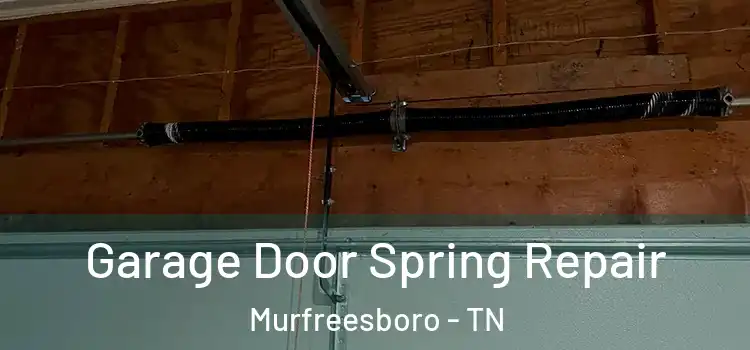  Garage Door Spring Repair Murfreesboro - TN